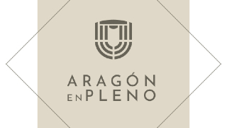 Aragón en pleno